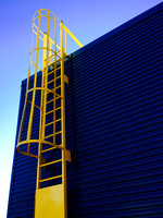 Yellow Ladder