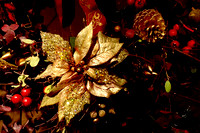 Gilded Poinsettia