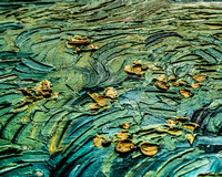 Van Gogh's brush strokes