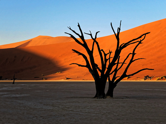 Deadvlei, Namibia early morning