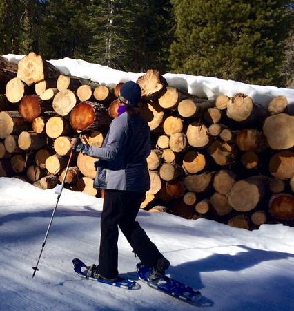 snowshoing past wood