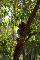 Asleep in the green