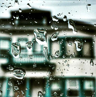 Oakland Rain Reflections