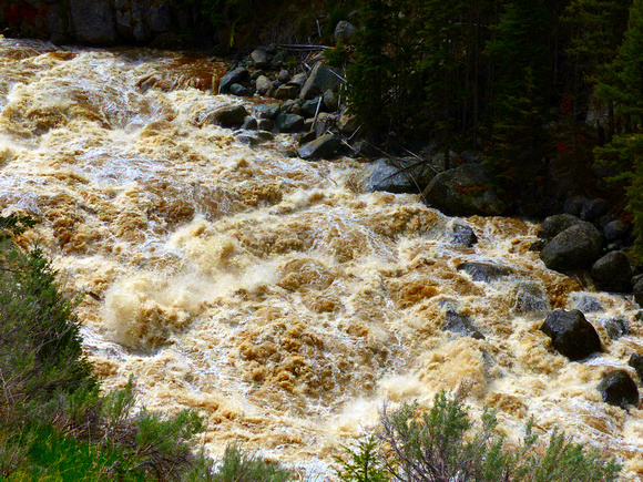 Roiling Whitewater in Spring