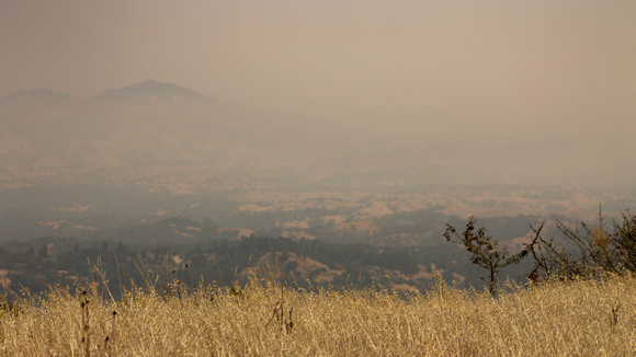 Misty horizon