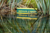 Mirror Lake Living up to its Reputation