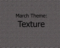 March Theme:  Texture
